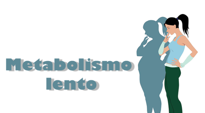 metabolismo lento