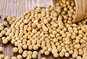 alimenti antiossidanti soia