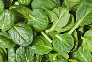 alimenti antiossidanti spinaci