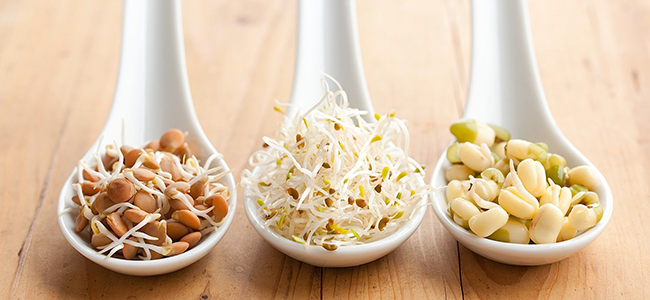 alimenti che causano intossicazione alimentare germogli