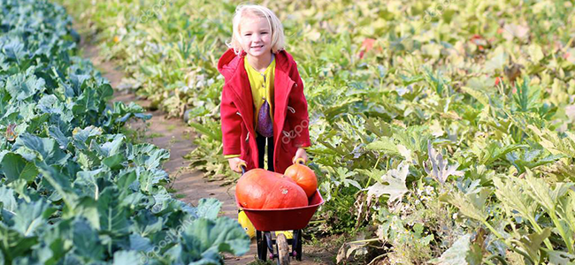 bambini verdure fai raccogliere a loro le verdure
