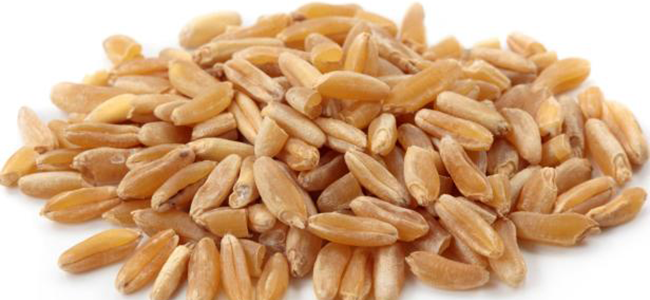 cibi antinfiammatori kamut