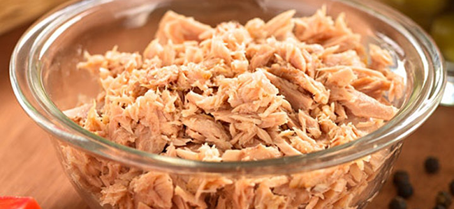 cibi antinfiammatori tonno in scatola