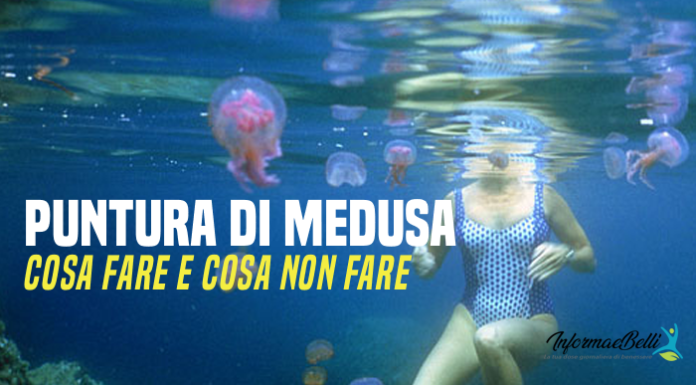 puntura di medusa