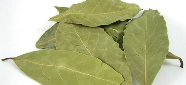 rimedi naturali contro le formiche alloro