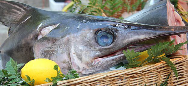 Cibi da evitare durante la gravidanza pesce ad alto contenudo di mercurio