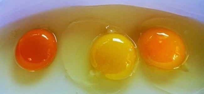 Cibi da evitare durante la gravidanza uova crude