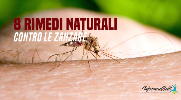 Rimedi naturali contro le zanzare