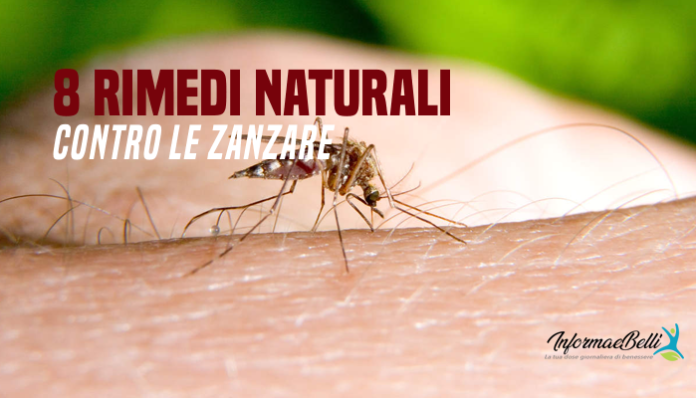 Rimedi naturali contro le zanzare