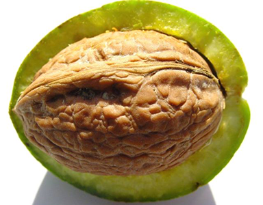 abbassare il colesterolo con le noci