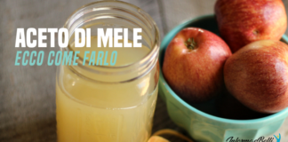 aceto di mele fatto in casa