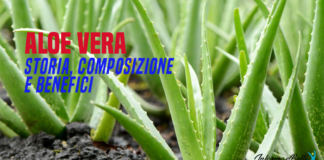 aloe vera benefici