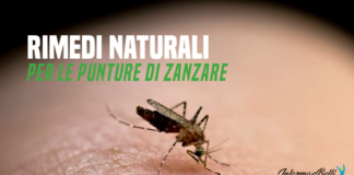 rimedi naturali per le punture di zanzare