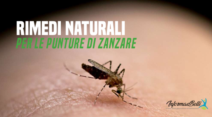 rimedi naturali per le punture di zanzare