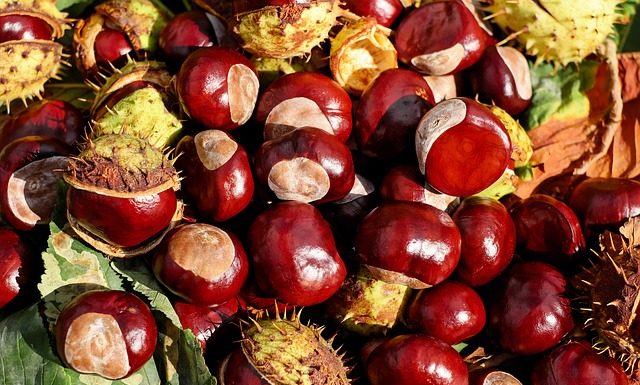 Come fare le castagne