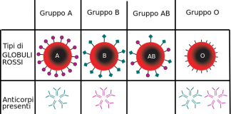 Gruppi sanguigni