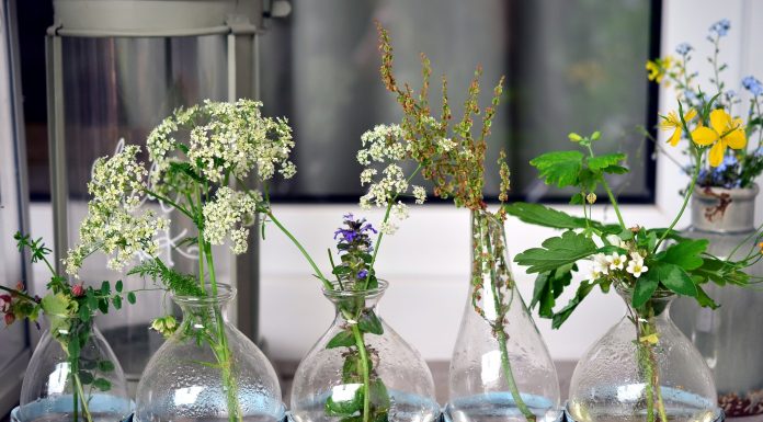 Vasi in vetro: come pulirli al meglio con metodi naturali Vasi in vetro