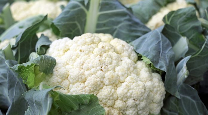 Il cavolfiore
