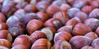 Olio di nocciola per la bellezza