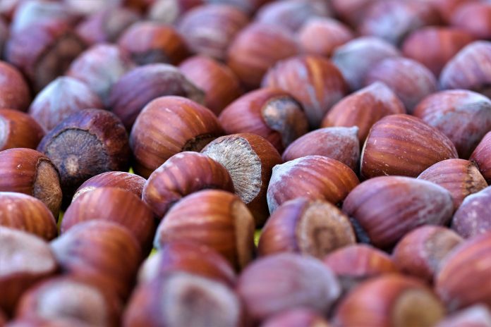 Olio di nocciola per la bellezza