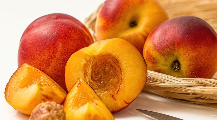 I benefici della pesca sul nostro corpo