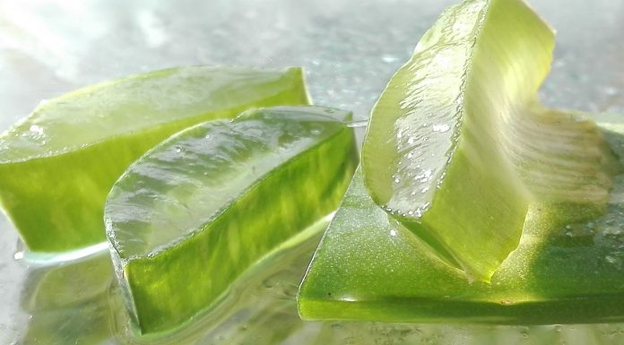 Maschere per i capelli all'aloe vera