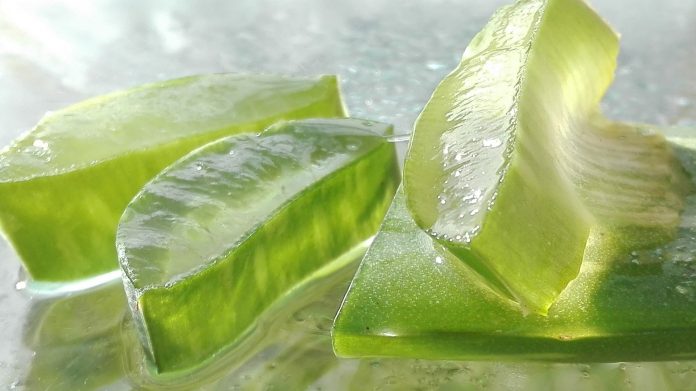 Maschere per i capelli all'aloe vera