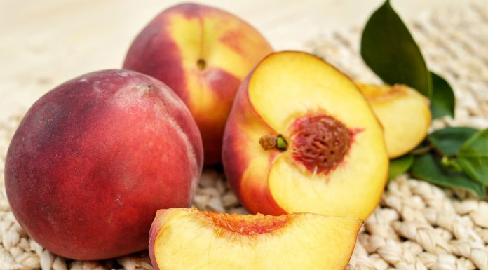 Olio di pesca per la bellezza: i benefici del prodotto sul nostro corpo Olio di pesca per la bellezza