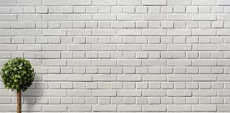 eliminare-muffa-in-casa-rimedi-naturali