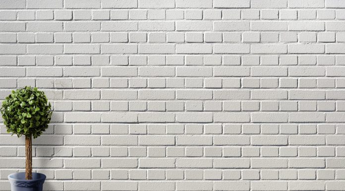 Muffa in casa: i 4 rimedi naturali per eliminarla eliminare-muffa-in-casa-rimedi-naturali