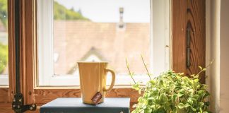 piante-purificazione-casa