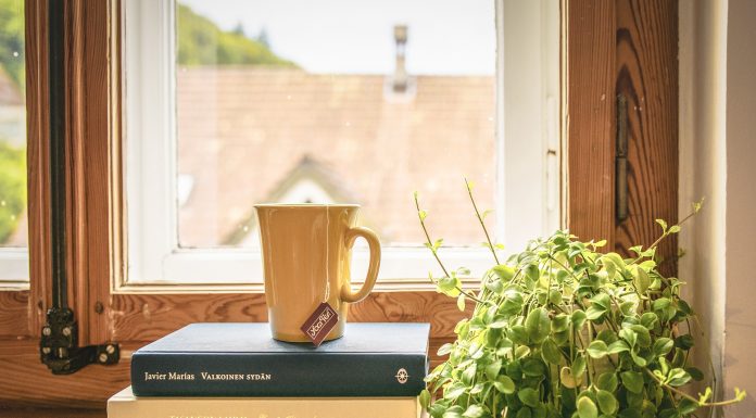 piante-purificazione-casa