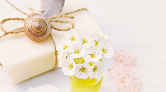 Sapone Alga: ecco come ottenere bucato e pavimenti splendenti sapone-alga-olio-di-cocco