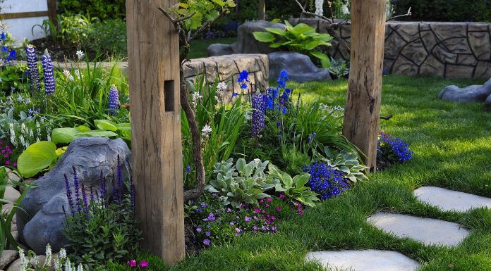 La bevanda che elimina le piante infestanti nel giardino di casa