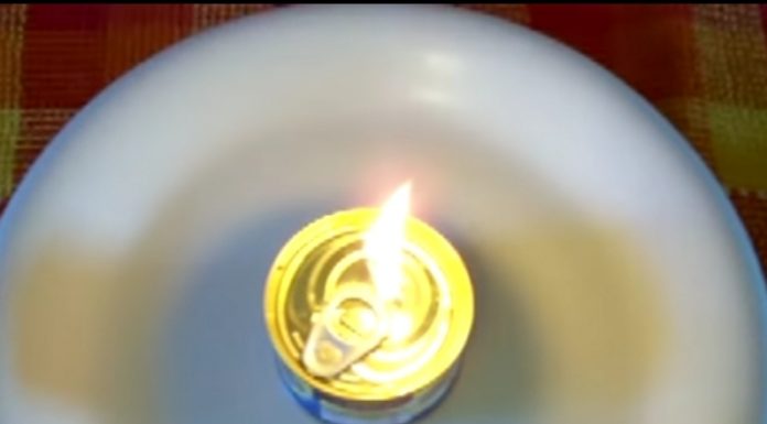 Lampada scatola tonno